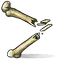 Bone Fragments