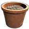 Single Plant Pot