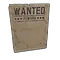 Wanted Poster 3